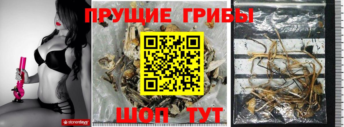 Галлюциногенные грибы Magic Shrooms  наркотики  Урай  Вход с VPN 
